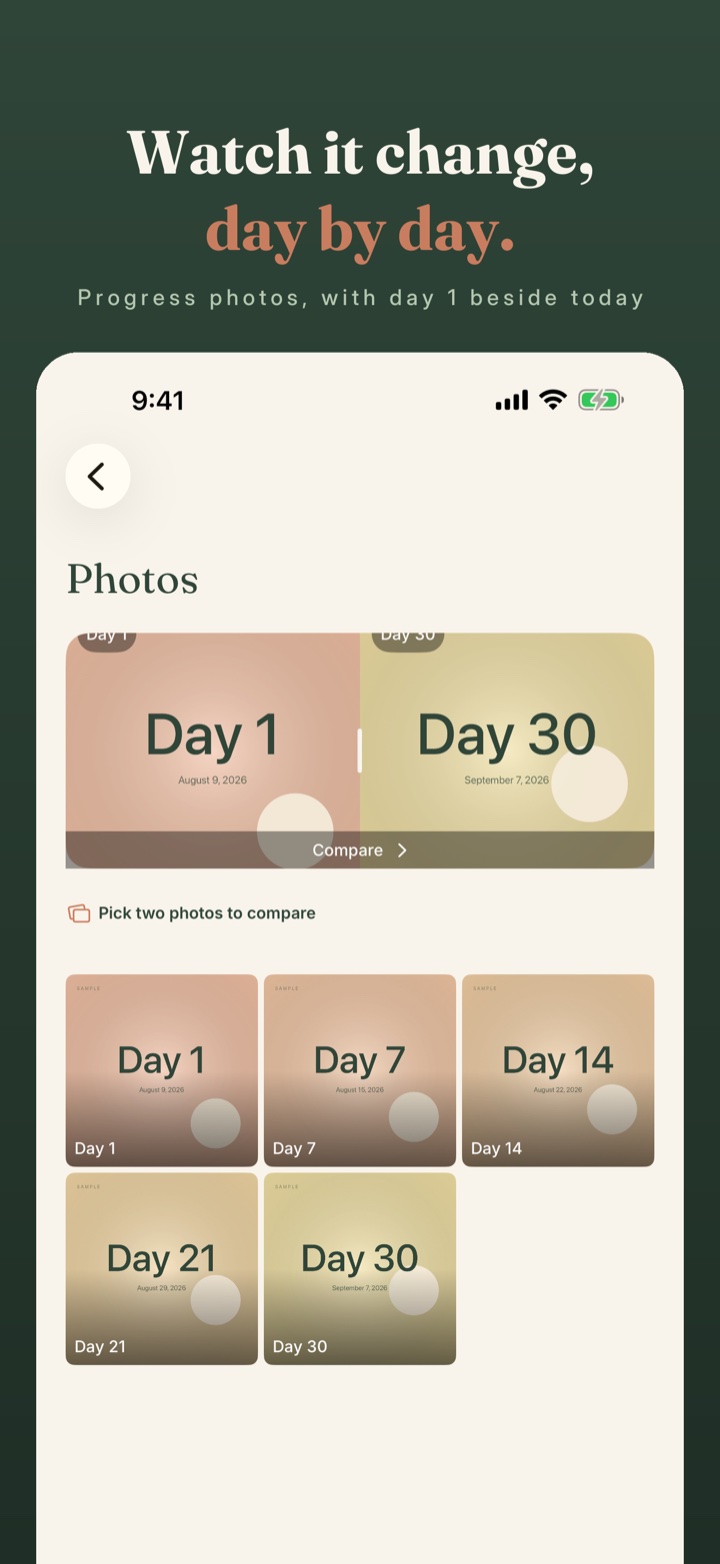 Daybreak progress photos